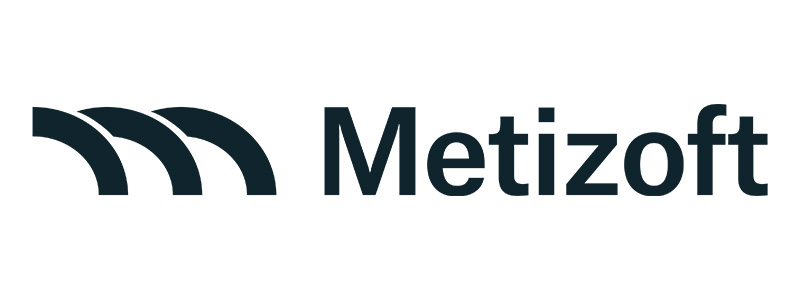 Metizoft