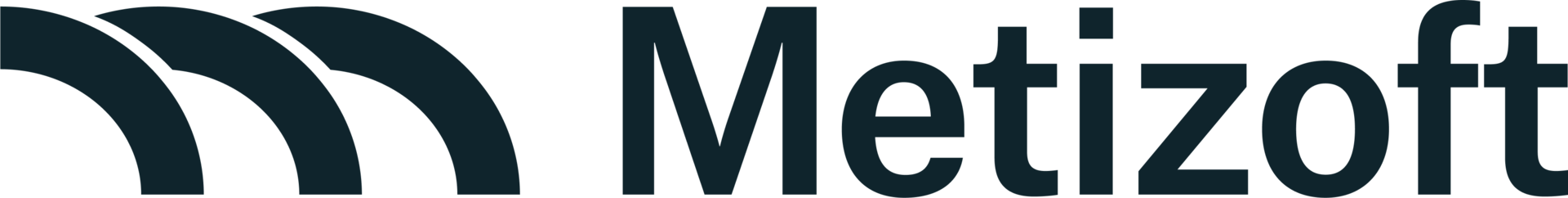 Logo Metizoft